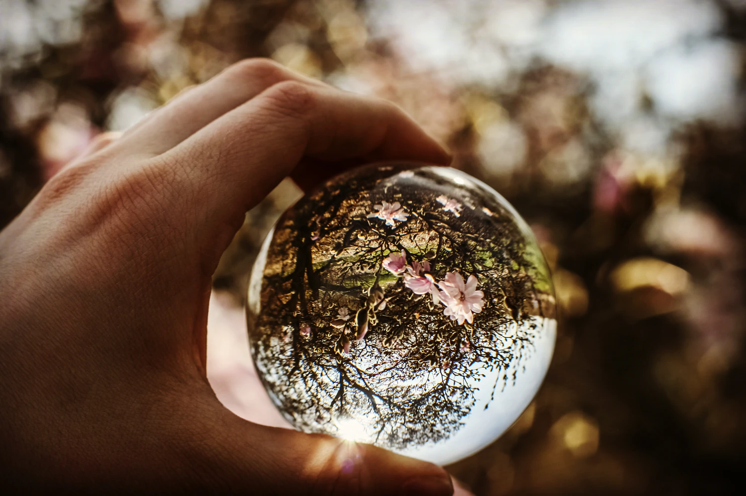 A Crystal Ball as a Metaphor for Seeing the Future