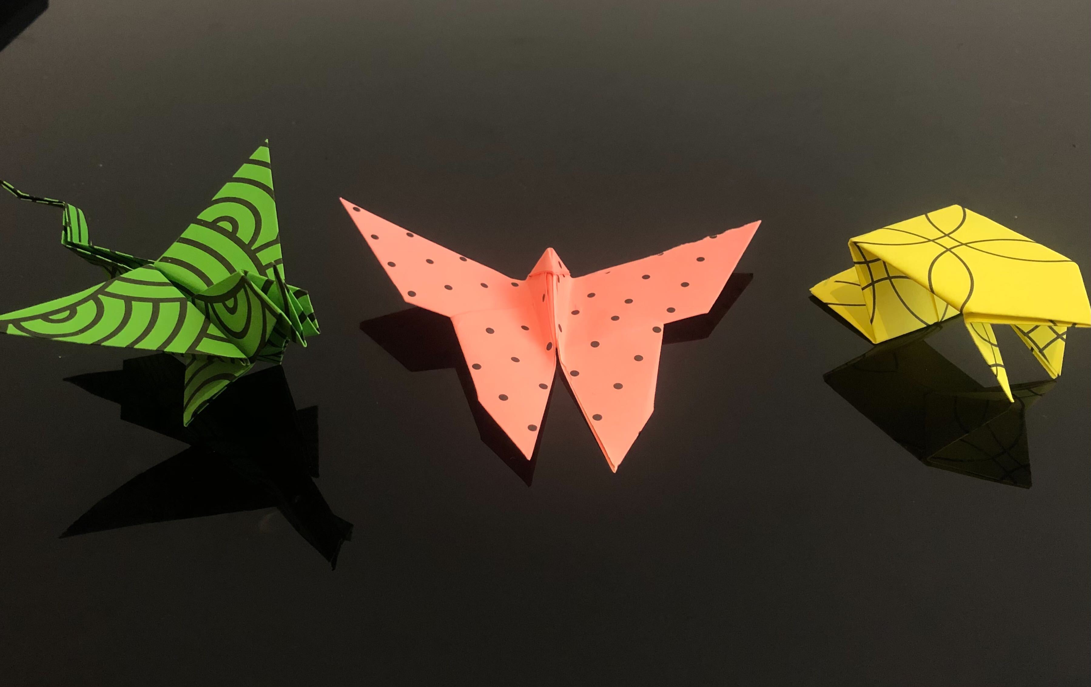 Members Origami Display