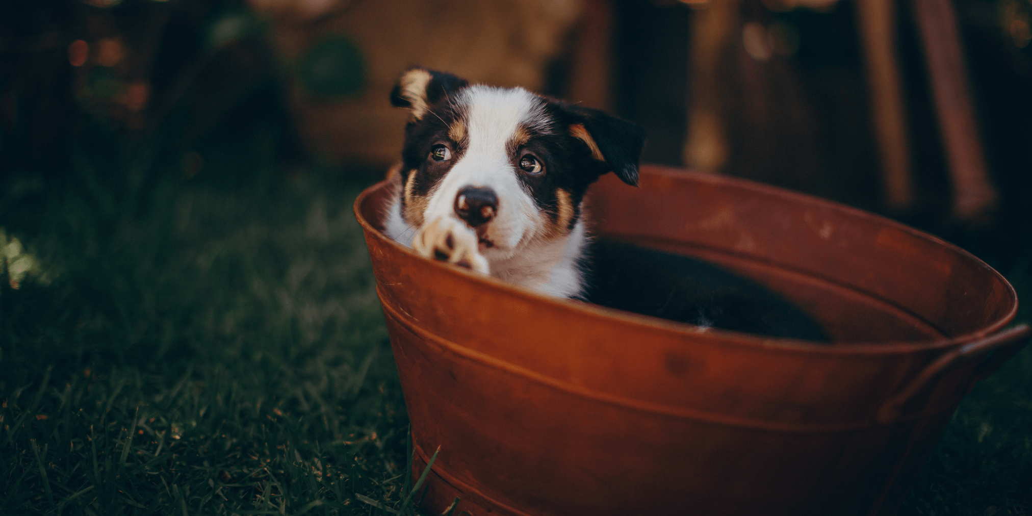 leaky bucket