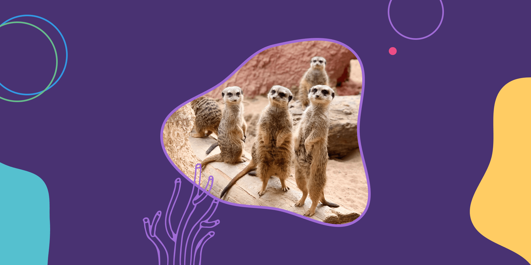 parabol-daily-standup-overiew (1) (1) meerkats standing up as if they are in an agile standup meeting