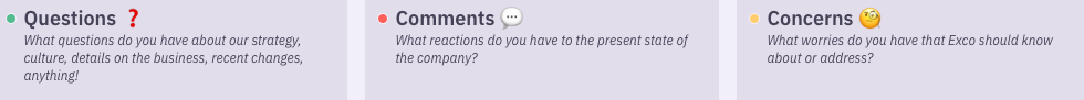 Questions: What questions do you have about our strategy, culture, details on the business, recent changes, anything!
Comments: What reactions do you have to the present state of the company?
Concerns: What worries do you have that Exco should know about or address?