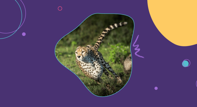 top-agile-methodologies parabol study