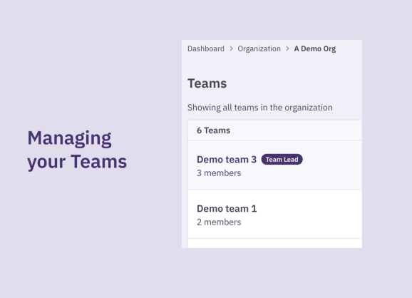 Managing your teams