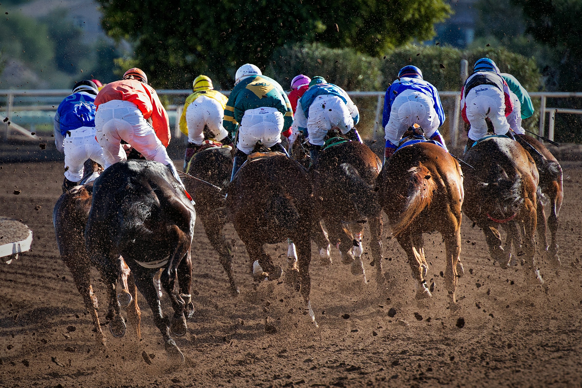 gene-devine-U-yHjENTmMg-unsplash (2) A horse race